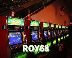 Apostas ao vivo ROY68